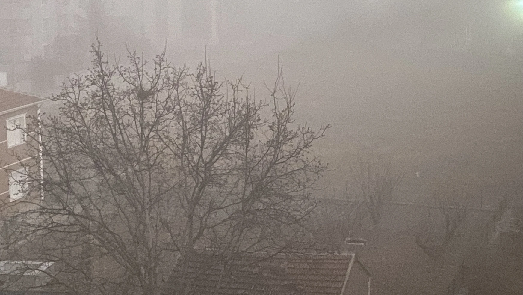 Kulu'da yoğun sis etkili oldu