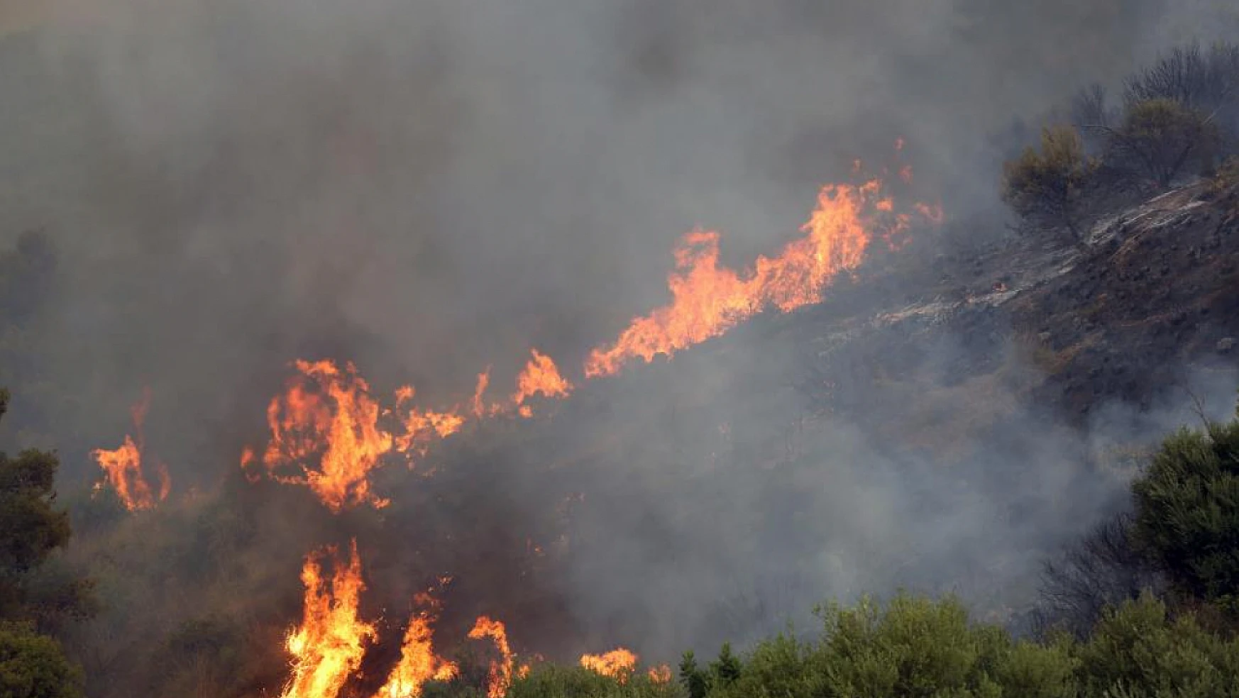 O ülkede orman yangınlarında ölü sayısı 34'e yükseldi