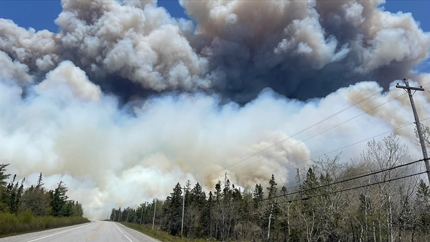 Orman yangınlarında o ülkede 3 milyon hektarlık alan zarar gördü