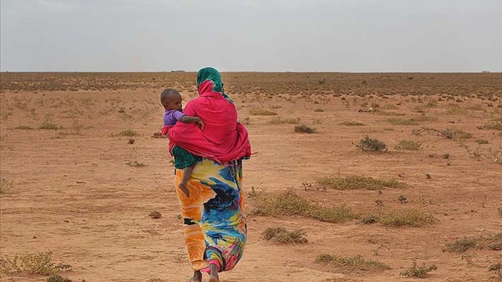 Somaliland'deki çatışmalar nedeniyle yüzlerce kişi evini terk etti