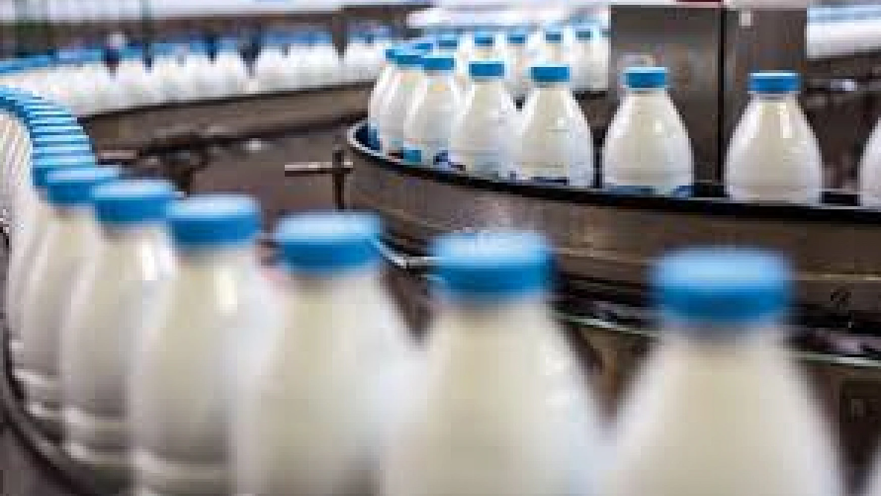 Süt ve Süt Ürünleri Üretimi Verileri Açıklandı
