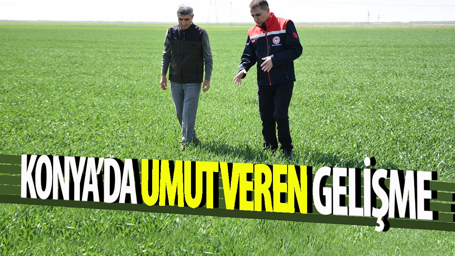 Tahıl ambarı Konya'da hububat ürünlerinde bitki gelişimi iyi!