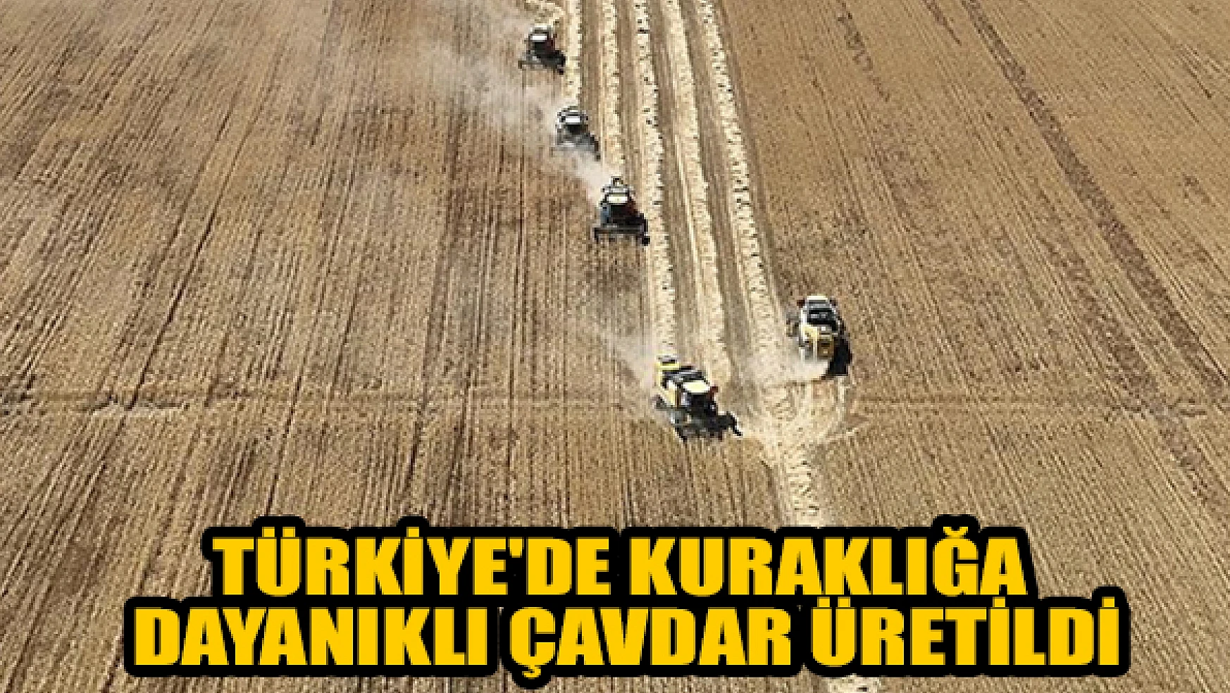 Türkiye'de kuraklığa dayanıklı çavdar üretildi