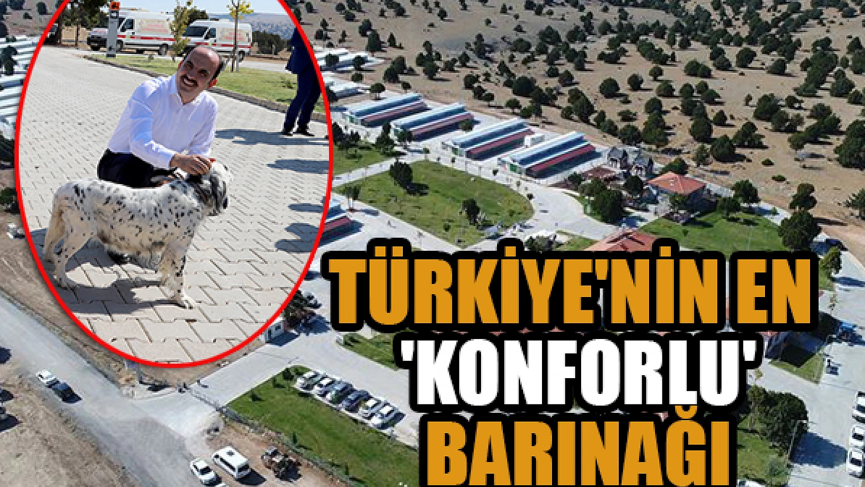 Türkiye'nin en 'konforlu' barınağı