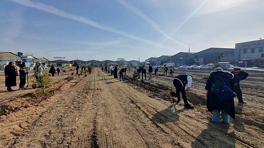 Özel Öğrenciler Karatay'da fidan dikti