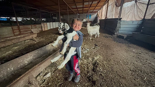 Konya Büyükşehir'in gönderdiği yardım can suyu oldu