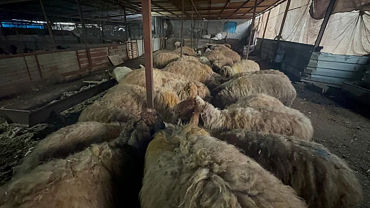 Konya Büyükşehir'in gönderdiği yardım can suyu oldu