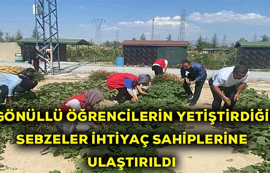 Gönüllü öğrencilerin yetiştirdiği sebze ve meyveler ihtiyaç sahiplerine ulaştırıldı
