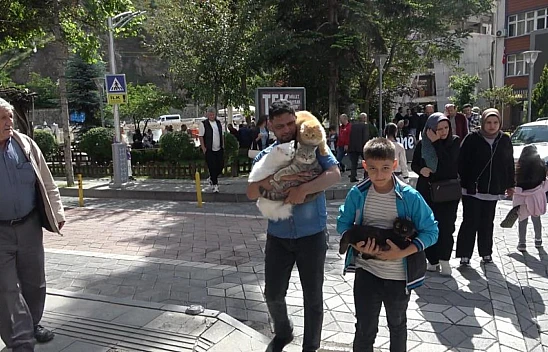 Pakistanlı bilgisayar mühendisi Gümüşhane'de omuzunda gezdirdiği ile dikkat çekiyor