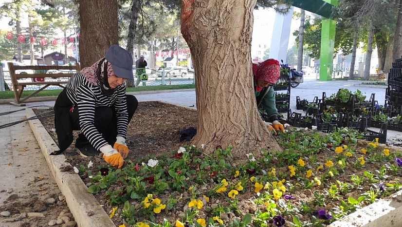 Ereğli sonbahar aylarında çiçek açacak!