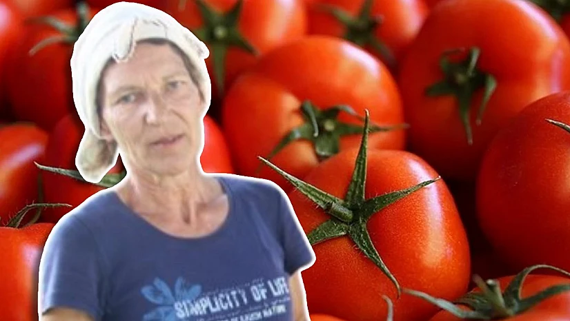 Hataylı ev hanımları kışlık domatesi böyle saklıyor.. Tüm kış aynı lezzetinde kalıyor, asla küf yapmıyor!