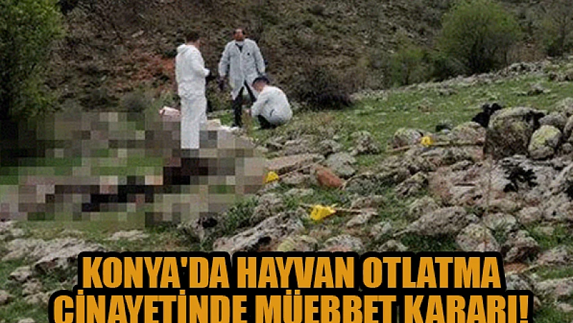 Konya'da hayvan otlatma cinayetinde müebbet kararı!