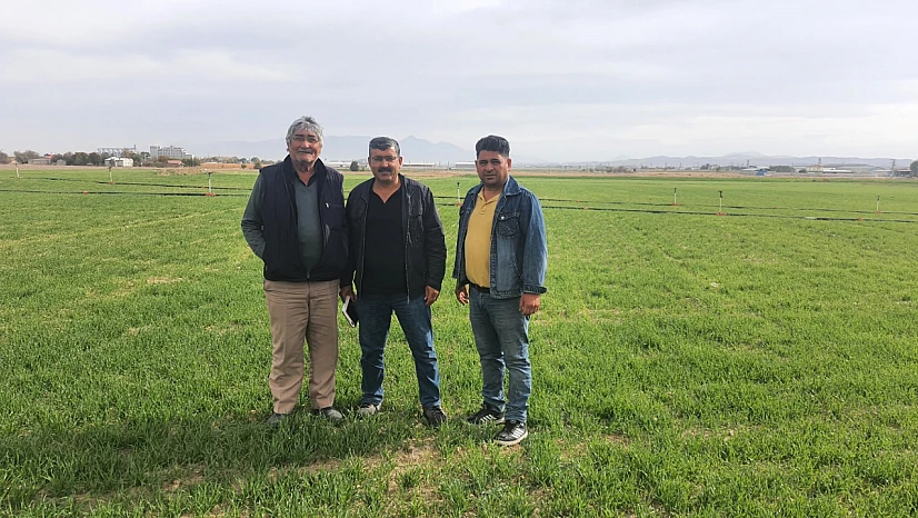 Konyalı mısır üreticisi mağdur durumda: Gelecek yıl mısır ekiminde azalma bekleniyor!
