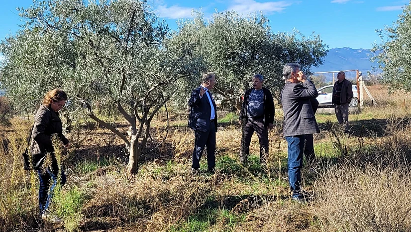 O meyve ağacında dal kanseri görüldü: Üreticiler uyarıldı!