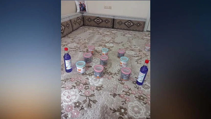 Şahin'den Böcek Koleksiyonu
